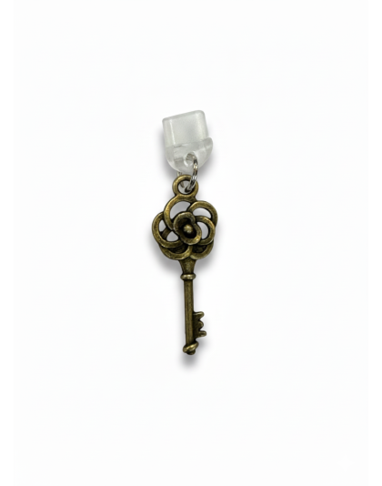 Rustic Brown Key Phone Charm Plug-In Accessory Chronic Rare Invisible Illness Awareness &amp; Support
